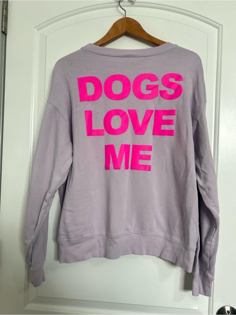 Wildfox Dogs Love Me 100% Cotton Crewneck Sweater Size L cozy loungewear chic